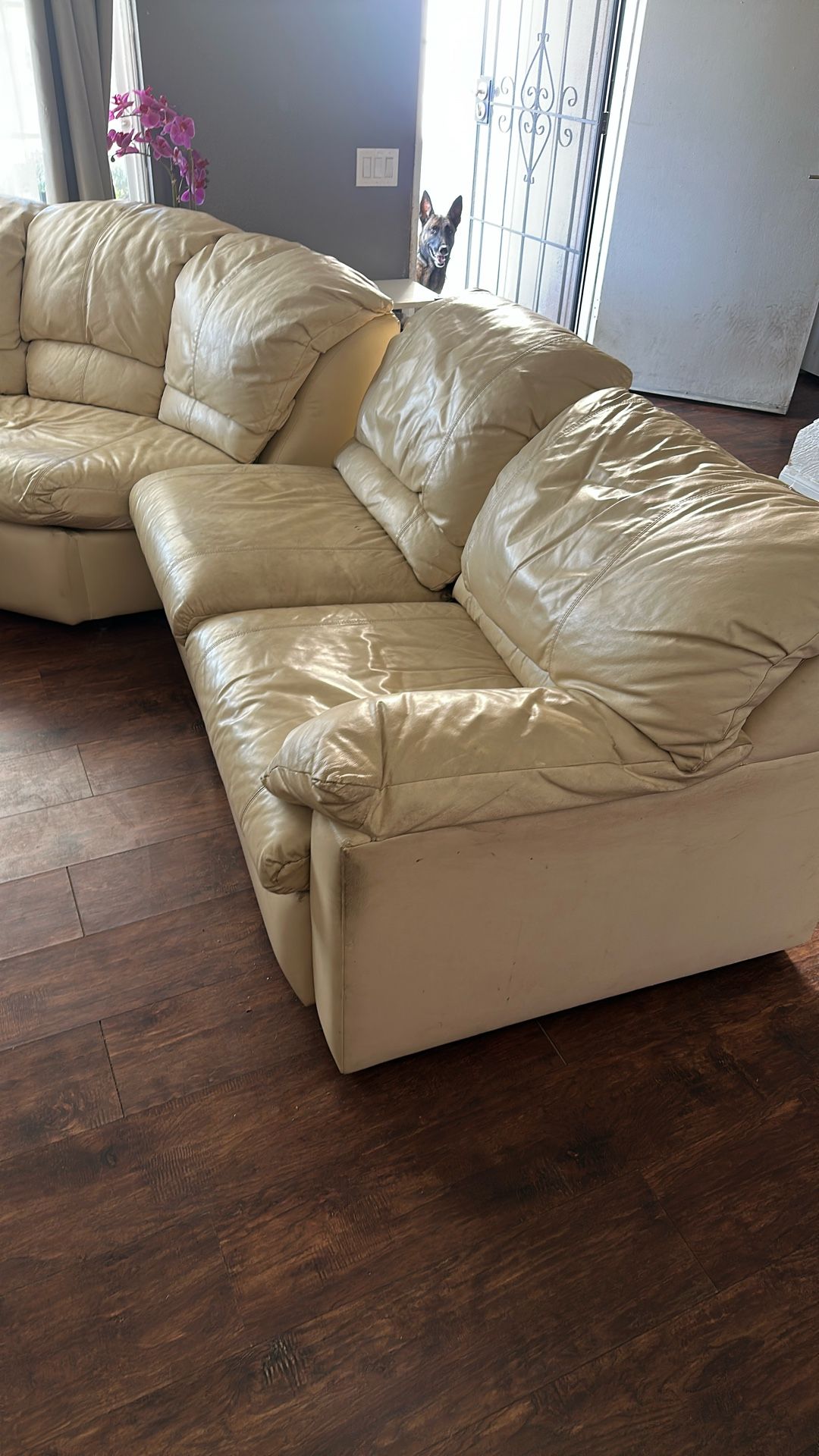 Free 3 Piece Leather Sofa  
