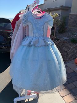 Cinderella style Halloween Costume