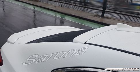 Roof Wing