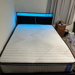 Wayfair Sleep Medium Hybrid Queen