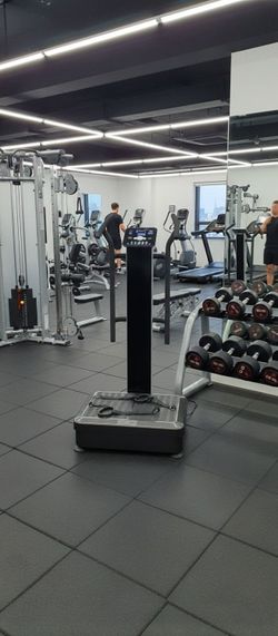 Professional 1500w 3 Mode Full Body Vibration Plate Exercise Fitness Machine