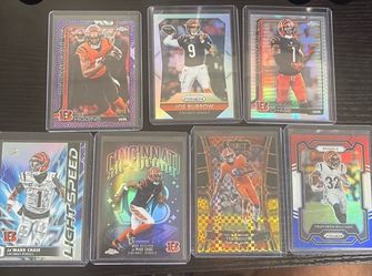 Cincinnati Bengals lot