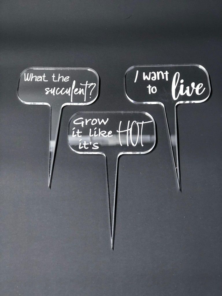 Succulent Plant Stakes