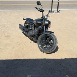 2021 Indian Scout