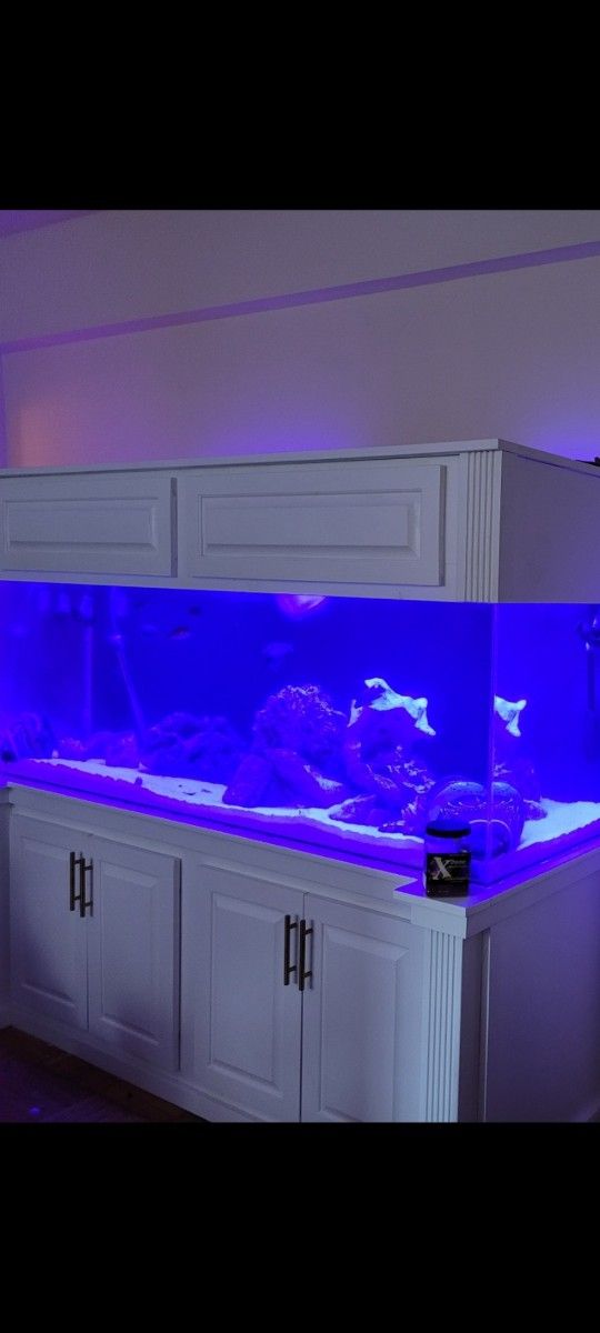 180 / 220 Gallon Acrylic Fish Tank Stand And Canopy