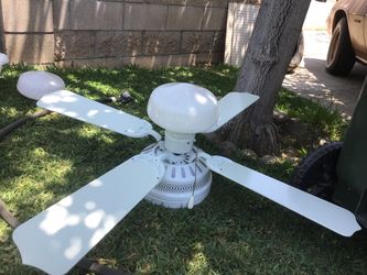 Ceiling fan