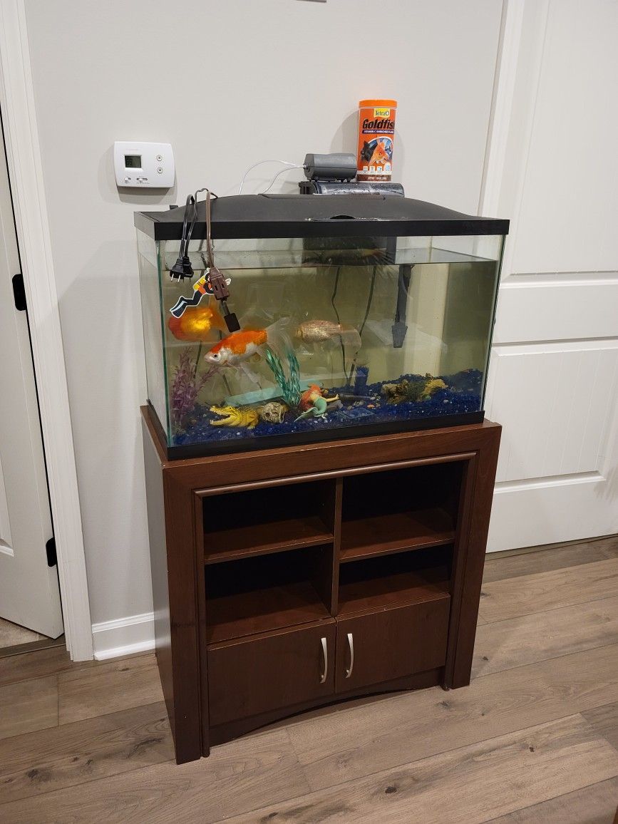 Fish Tank 29 Gallon