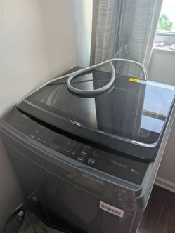 Portable Washer