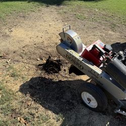 Tree Stumps & Stump Grinding