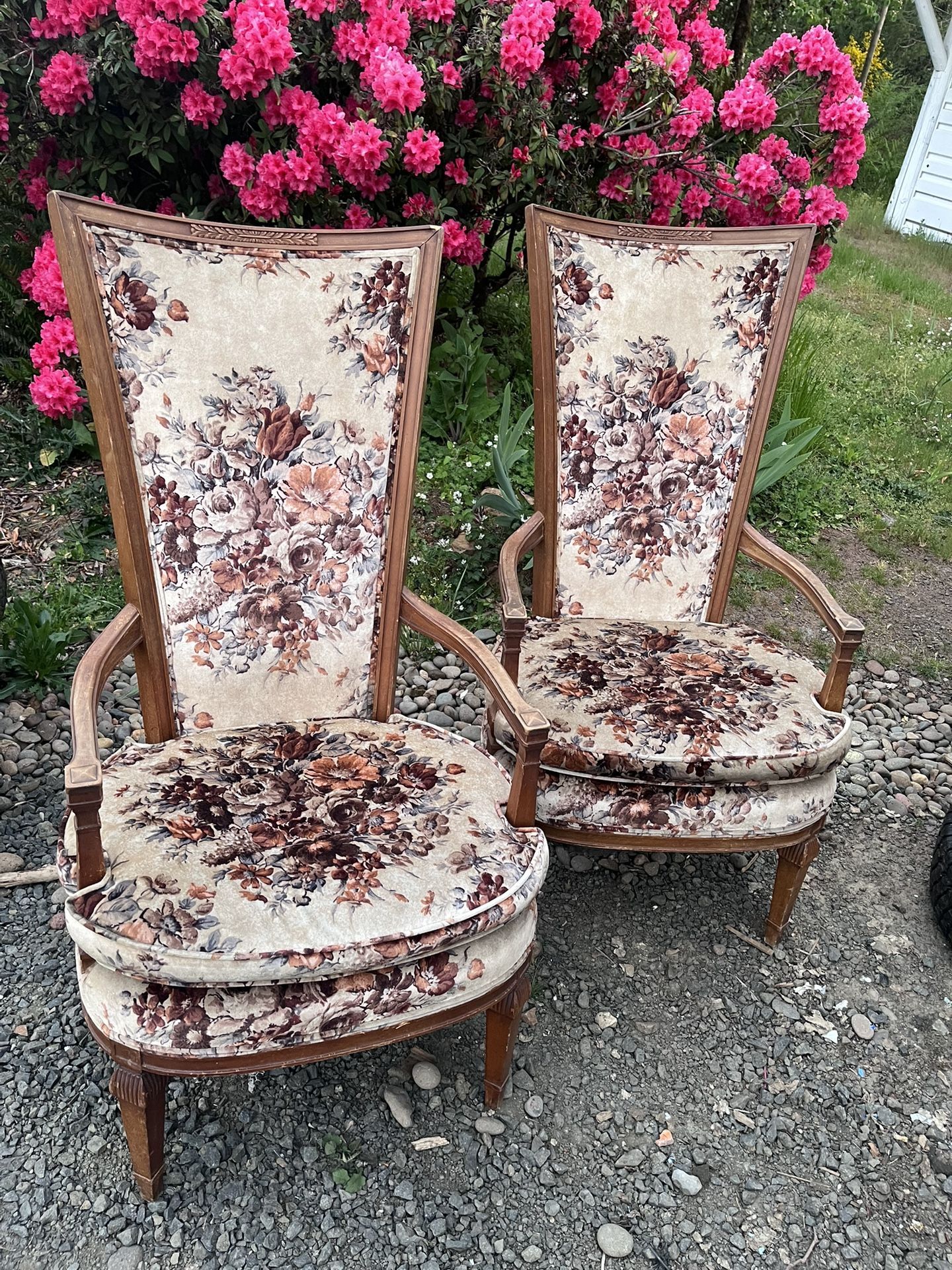 Antique floral Print Chairs