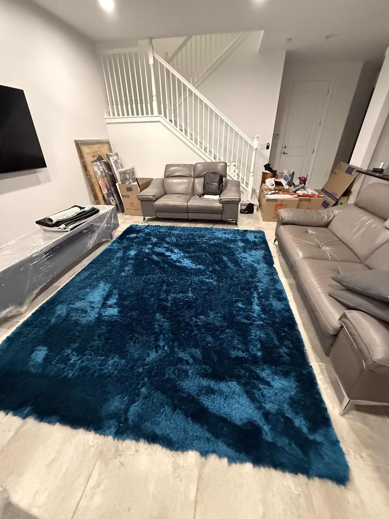 Hand tufted Area Rug - Teal - 8x10 approx