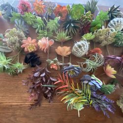 Artificial Succulents