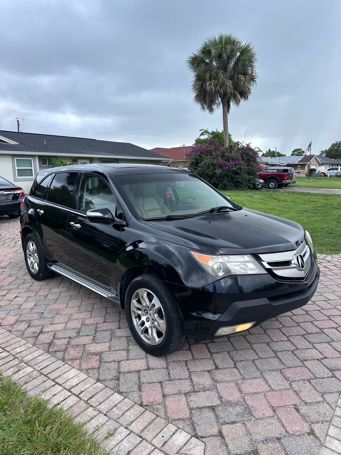 2009 Acura DMX