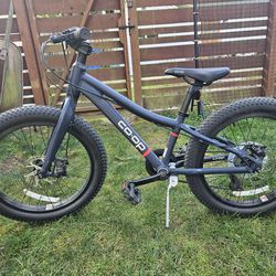 REI Rev 20 kids mountain bike