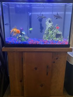 Fish Tank And Stand No Fish