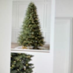 Balsam Hill Christmas Tree