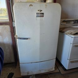 Vintage Fridge