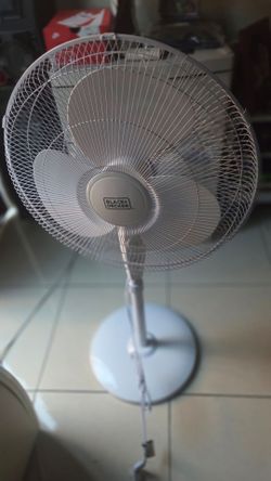 Fan
