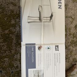 Moen Bathroom Faucet