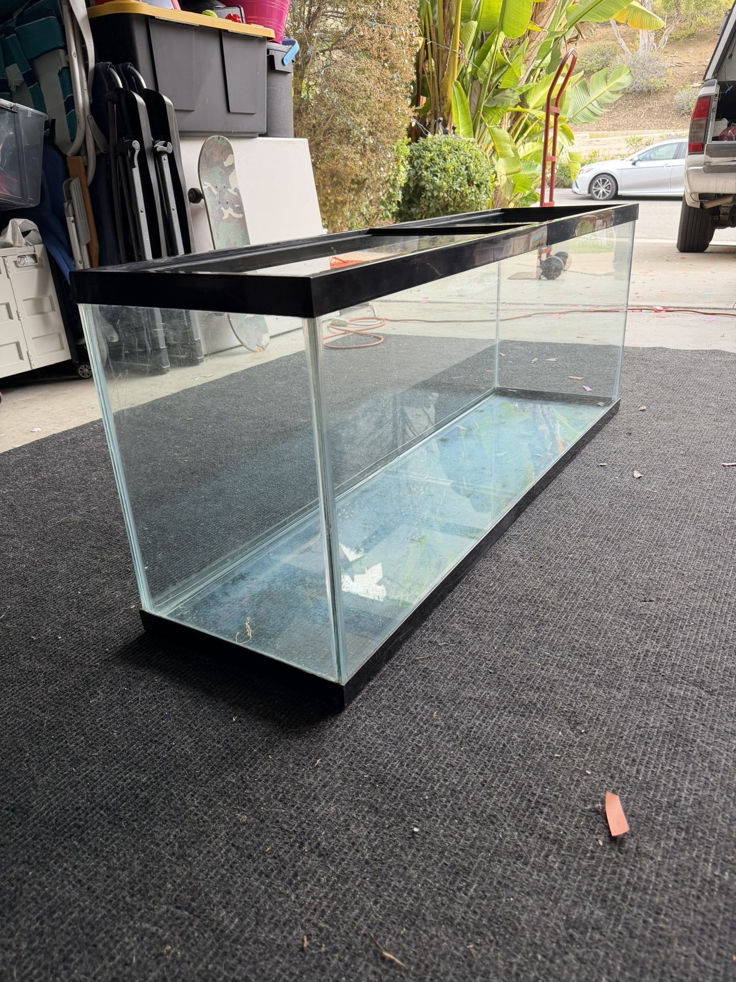 40 Gal Aquarium Or Terrarium