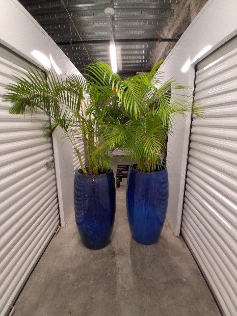 ALREADY SOLD 3, SETS OF THESE PLANTERS OUTFITTED WITH PLANTERS, ROCKS, PLASTIC INTERIOR POTS, SOIL AND PLANTS, SET UP RIGHT NEW, 2 PLANTERS INCLUDED!!