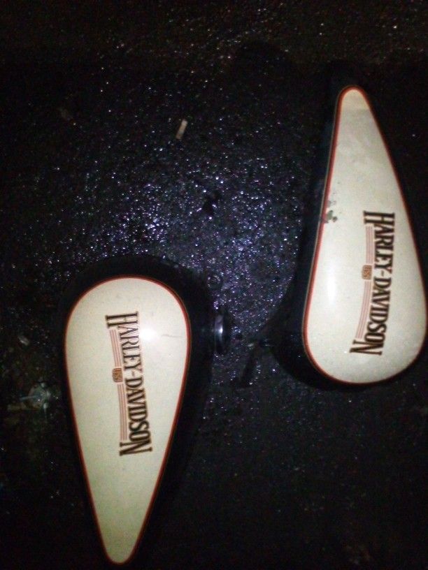 HARLEY DAVIDSON DUAL GAS TAKS