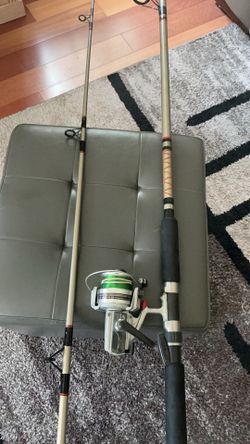 11 ft. Daiwa surf rod,and heavy duty Daiwa reel