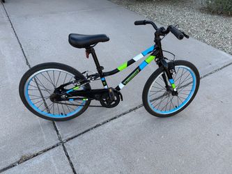 Guardian ethos 20” bike