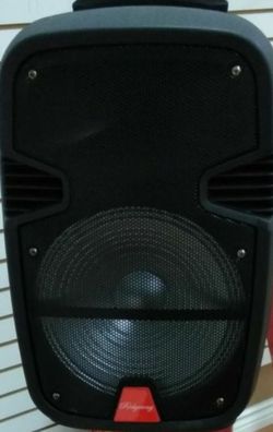 New!!!3000 watt 15" bluetooth speaker DJ karaoke style comes with microphone and remote
