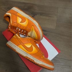 nike dunks 5.5Y