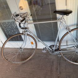 NISHIKI CUSTOM SPORT BIKE VINTAGE for Sale in Phoenix AZ OfferUp