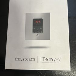 ITempo Square Steam Shower Control.