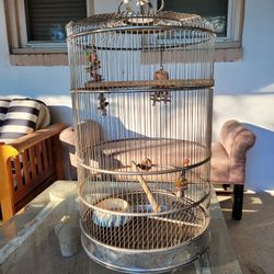 Bird Cage 6 Ft