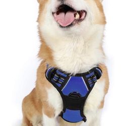 M Dog Harness