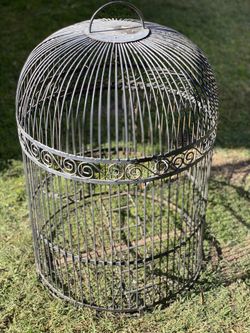 Bird Cage