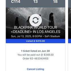 BLACKPINK SOFI STADIUM SUNDAY JULY 13