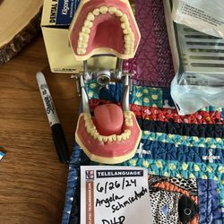 dental hygiene typodont 