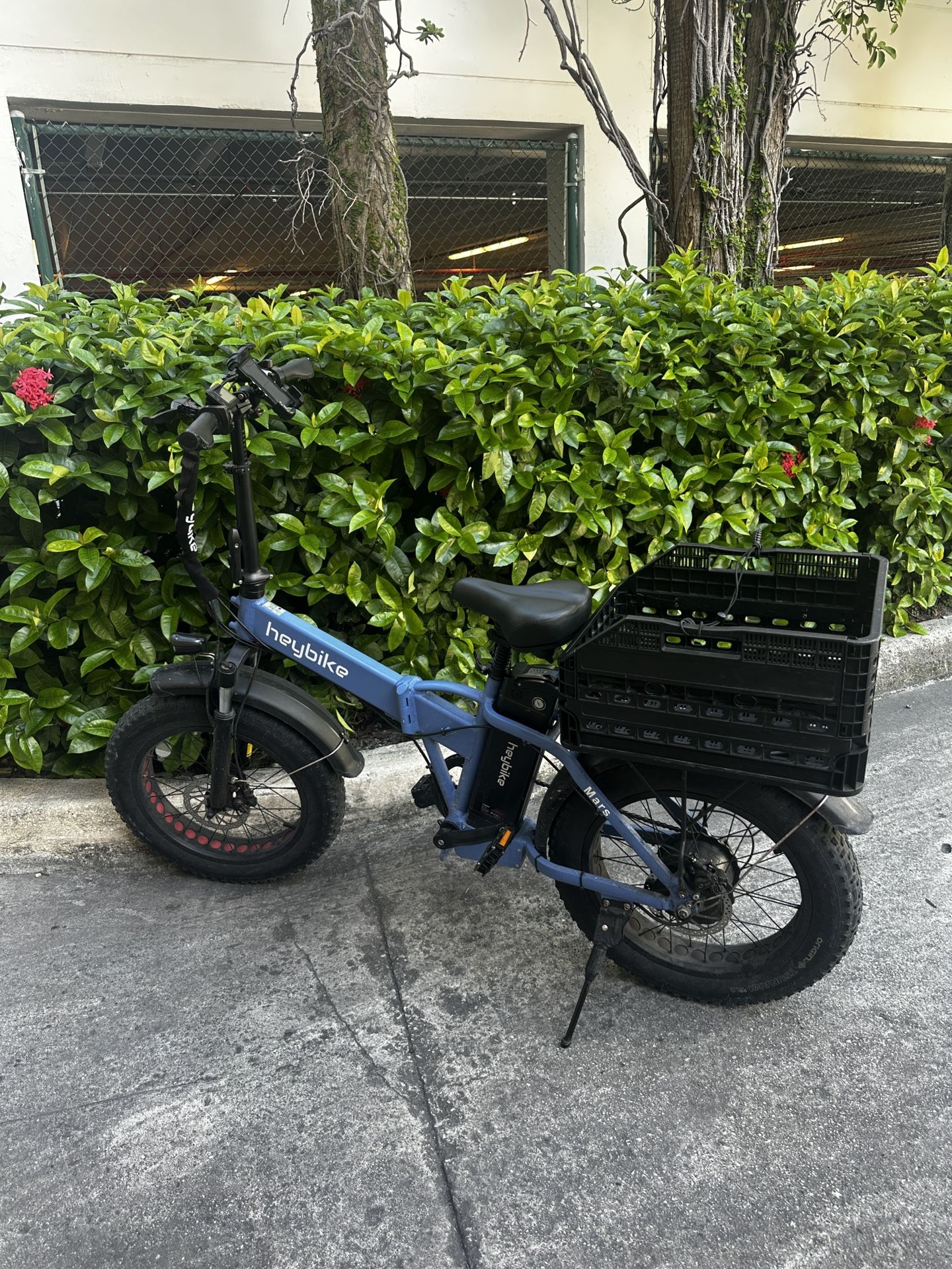 Electric Bike