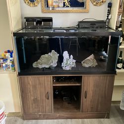 75 Gal Fish Tank