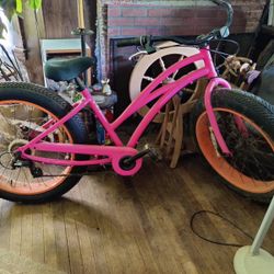 Fat Wheel Bike