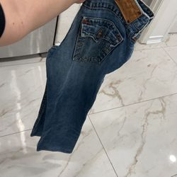 True Religion Pants 29