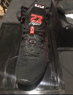 Lebron 17 infraded IV
