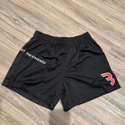 CBum (Bodybuilder) Sample Gym Mesh Shorts