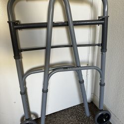 Adult Walker