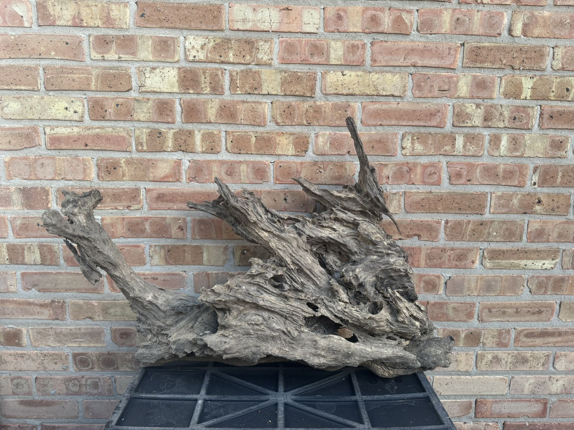 Natural Driftwood for Aquarium /Terrarium