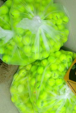 50 Used Tennis Balls for $25