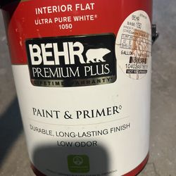 Interior Paint 