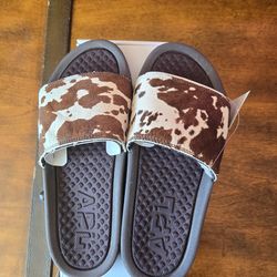 APL women slides
