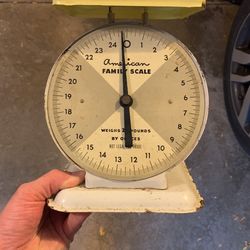 American Family Scale