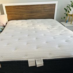 Queen Size Bedroom set, box spring Included only for $300 only and Chesser for $400.